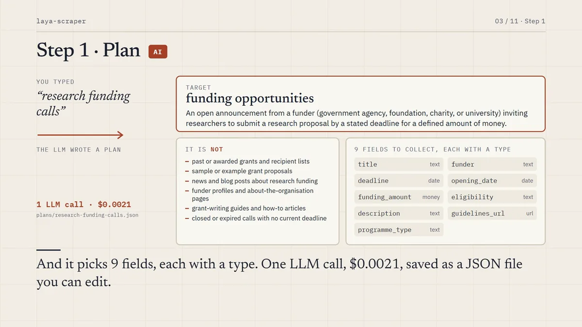 The plan: a definition of the target, what it is not, and the typed fields.